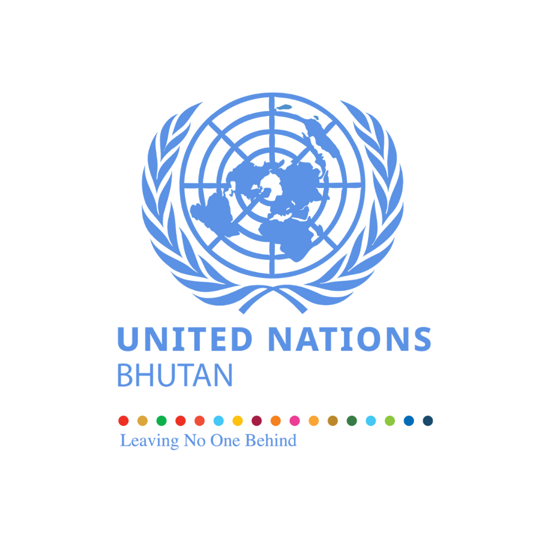  United Nations Sustainable Development Framework (UNSDPF) Evaluation TORs