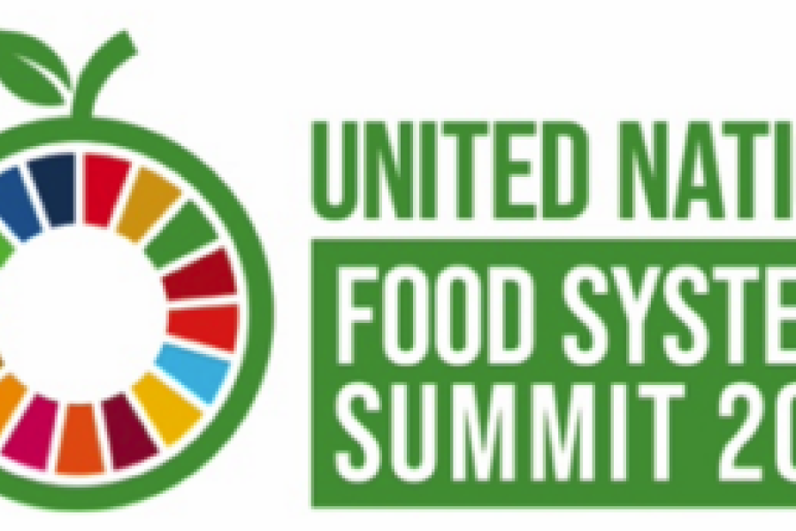 Food System Pathways, Bhutan | United Nations In Bhutan